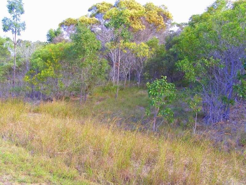 Lot 436 Anderson Way, Agnes Water QLD 4677