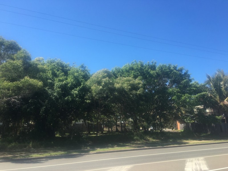 19 Dolphin Court, Agnes Water QLD 4677