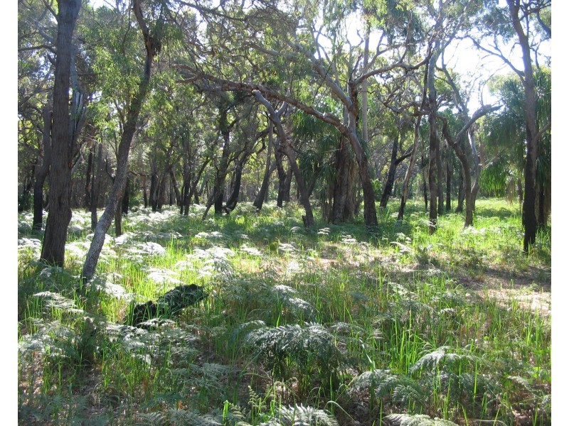 Agnes Water QLD 4677