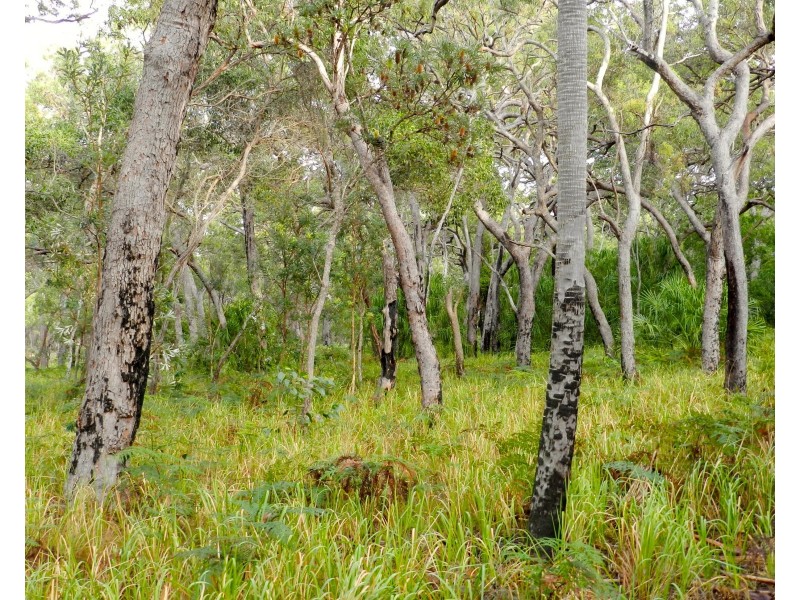 Agnes Water QLD 4677