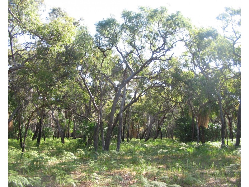 Agnes Water QLD 4677