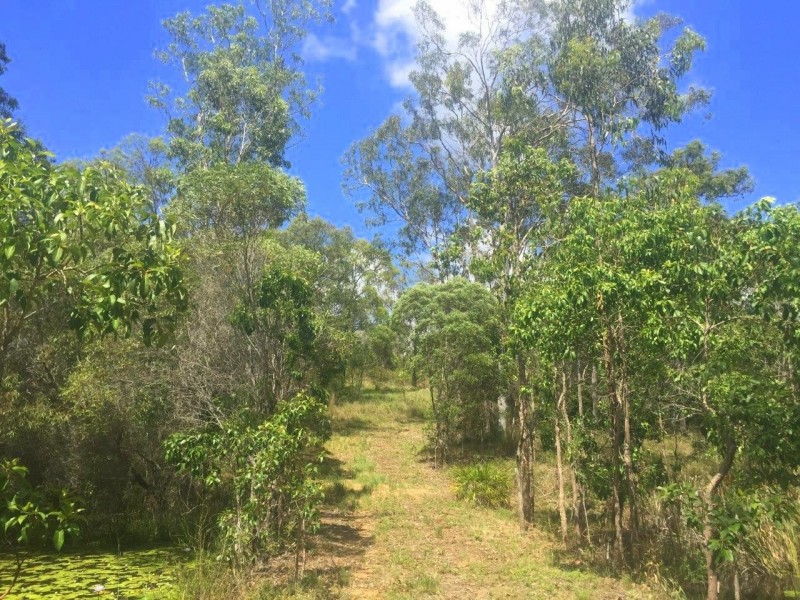 Agnes Water QLD 4677