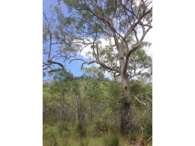 Agnes Water QLD 4677