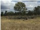 Lot 1 Old Gayndah Road, Morganville QLD 4671