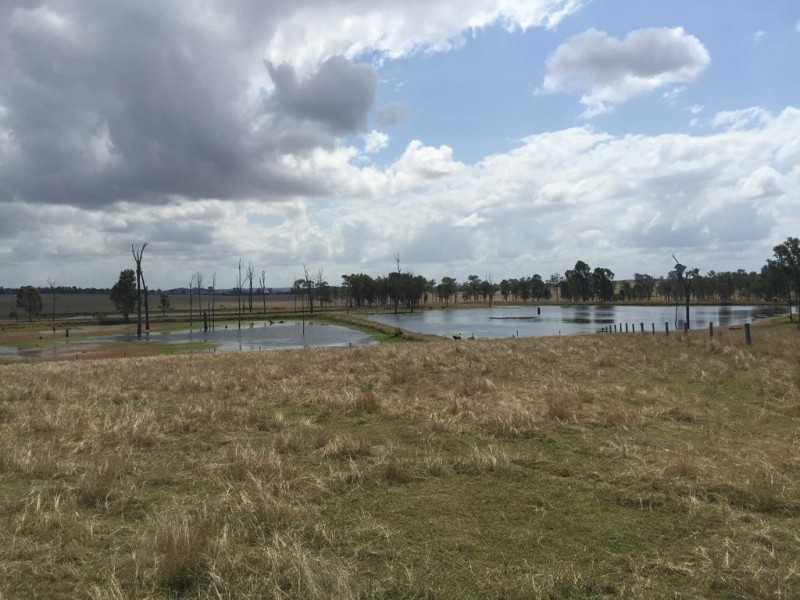 Lot 1 Old Gayndah Road, Morganville QLD 4671