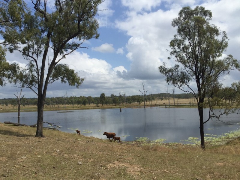Lot 1 Old Gayndah Road, Morganville QLD 4671