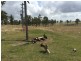 Lot 1 Old Gayndah Road, Morganville QLD 4671