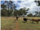 Lot 1 Old Gayndah Road, Morganville QLD 4671