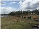 Lot 1 Old Gayndah Road, Morganville QLD 4671
