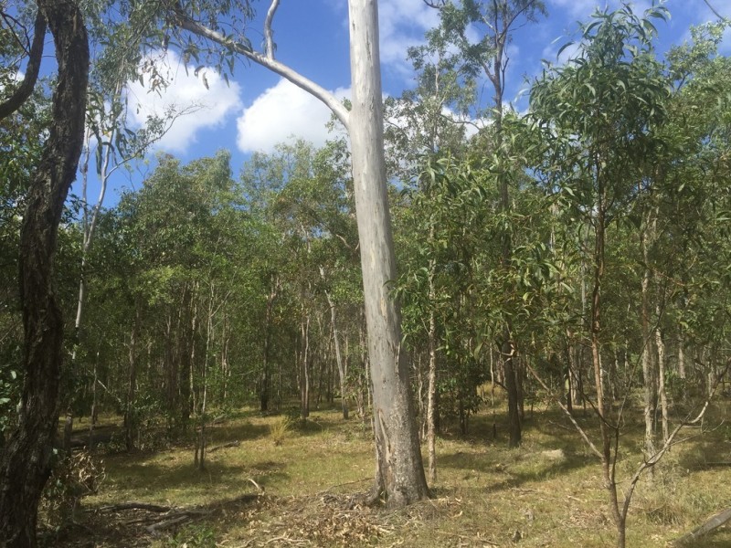 Lot 6 Round Hill, Captain Creek QLD 4677