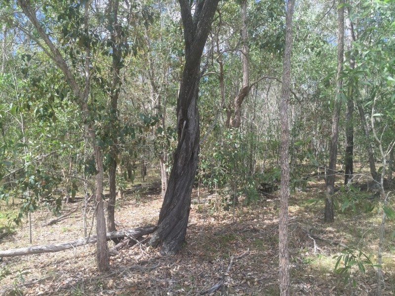 Lot 6 Round Hill, Captain Creek QLD 4677