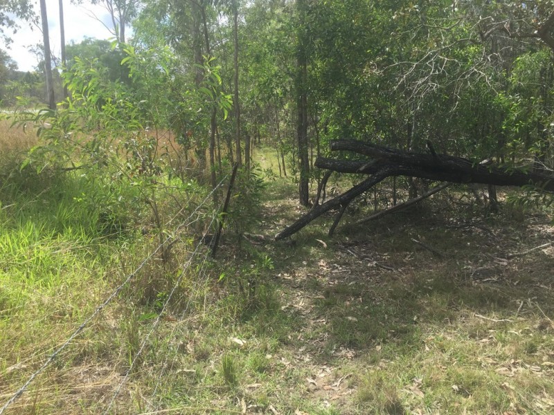Lot 6 Round Hill, Captain Creek QLD 4677