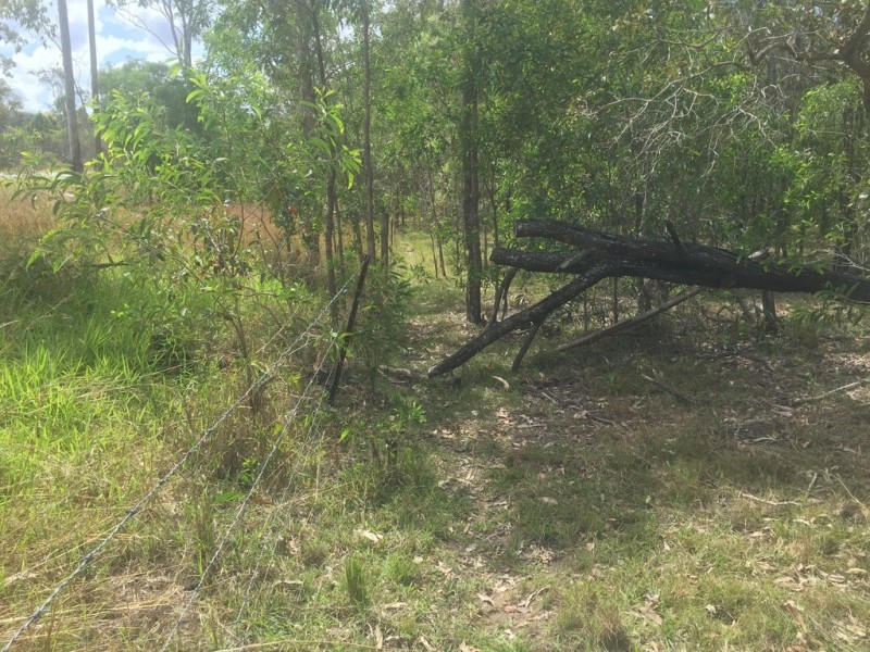 Lot 6 Round Hill, Captain Creek QLD 4677