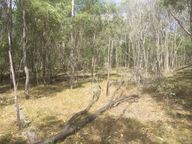 Lot 6 Round Hill, Captain Creek QLD 4677