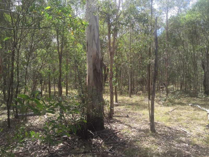 Lot 6 Round Hill, Captain Creek QLD 4677