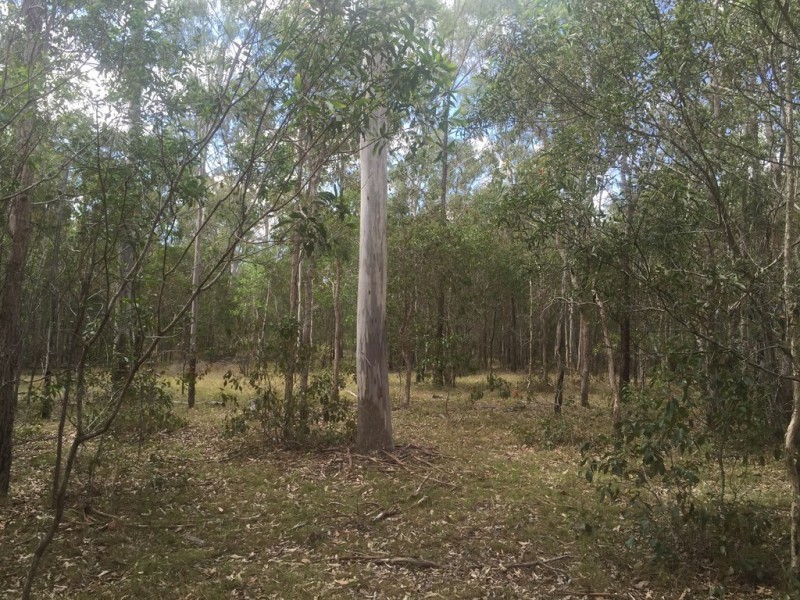 Lot 6 Round Hill, Captain Creek QLD 4677