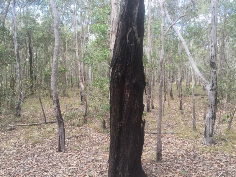 Lot 6 Round Hill, Captain Creek QLD 4677