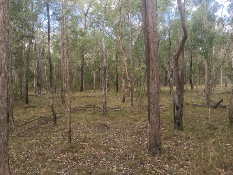 Lot 6 Round Hill, Captain Creek QLD 4677