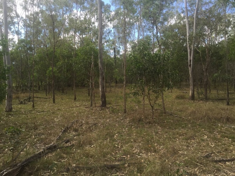 Lot 6 Round Hill, Captain Creek QLD 4677