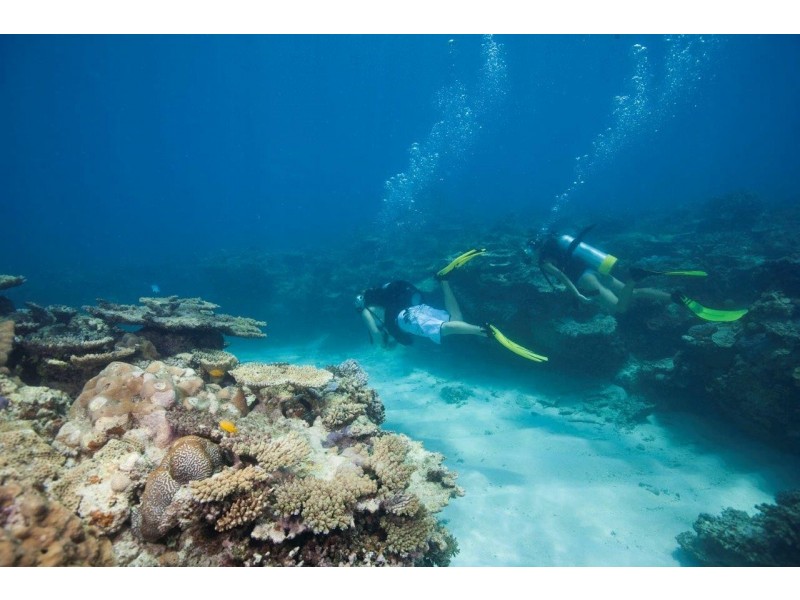 1 Rules Beach Road, Rules Beach QLD 4674