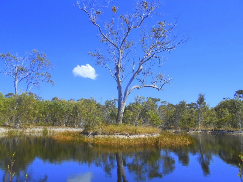 Agnes Water QLD 4677
