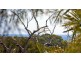Lot 27 Donohue Drive, Agnes Water QLD 4677
