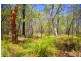 lot 44 Dillon Road, Captain Creek QLD 4677