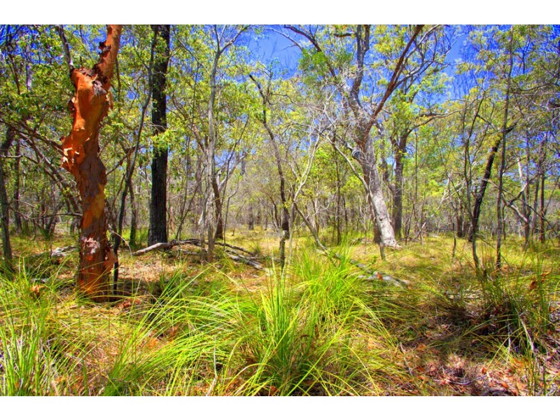 lot 44 Dillon Road, Captain Creek QLD 4677