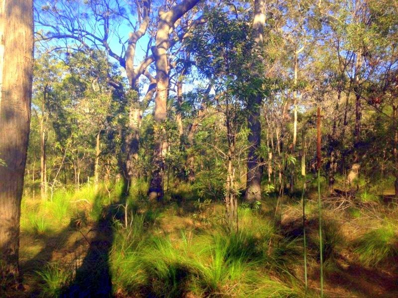 lot 44 Dillon Road, Captain Creek QLD 4677