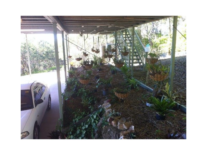 55 Wistari Crescent, Agnes Water QLD 4677