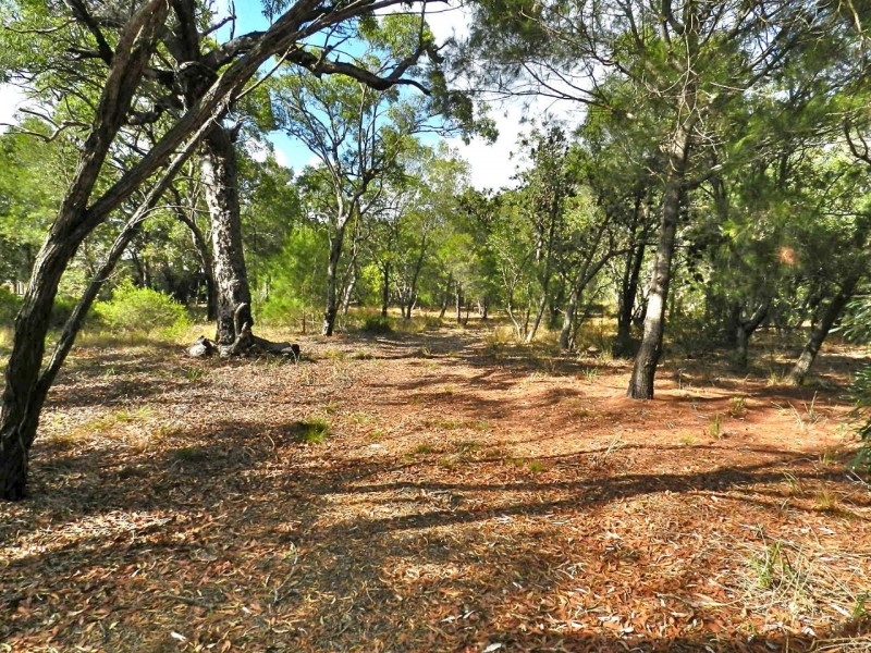 lot 22 Bloodwood Ave Nth Sunrise, Agnes Water QLD 4677