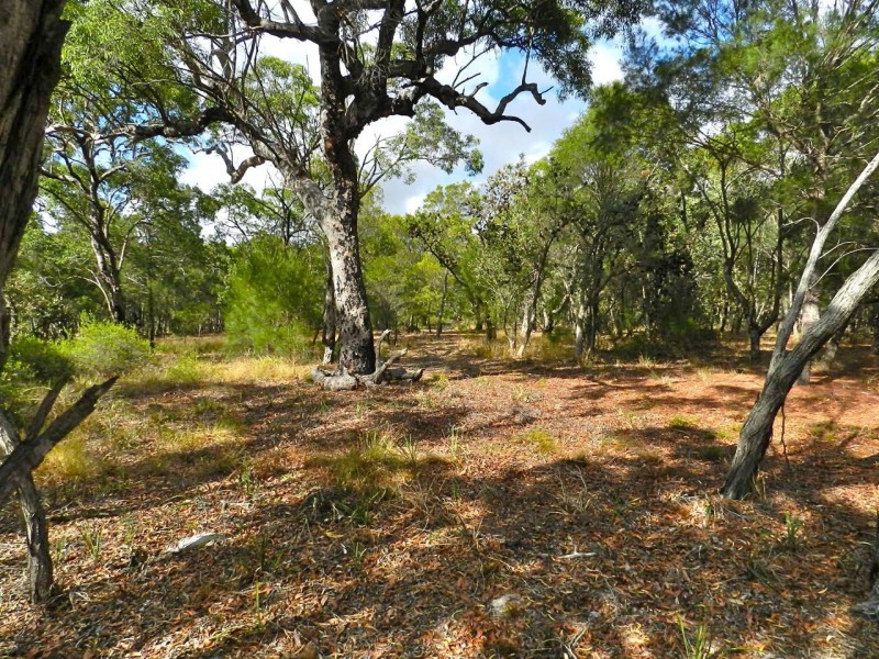 lot 22 Bloodwood Ave Nth Sunrise, Agnes Water QLD 4677