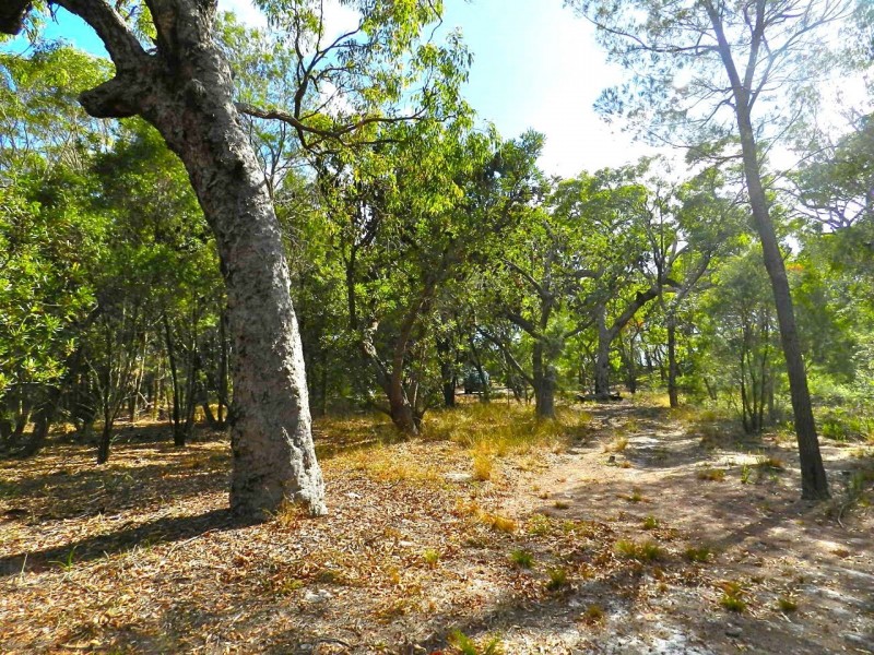 lot 22 Bloodwood Ave Nth Sunrise, Agnes Water QLD 4677