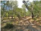 lot 22 Bloodwood Ave Nth Sunrise, Agnes Water QLD 4677