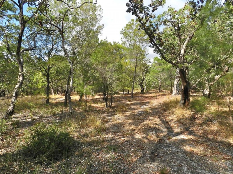 lot 22 Bloodwood Ave Nth Sunrise, Agnes Water QLD 4677