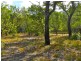 lot 22 Bloodwood Ave Nth Sunrise, Agnes Water QLD 4677