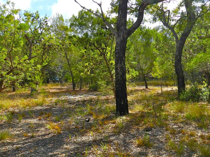 lot 22 Bloodwood Ave Nth Sunrise, Agnes Water QLD 4677