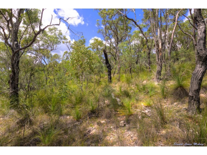 216 Davies Road, Captain Creek QLD 4677