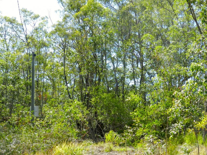 Agnes Water QLD 4677