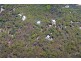 Lot  34 Bloodwood Ave South, Sunrise at 1770, Agnes Water QLD 4677