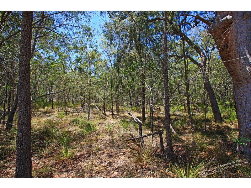 288 Masthead Drive, Agnes Water QLD 4677