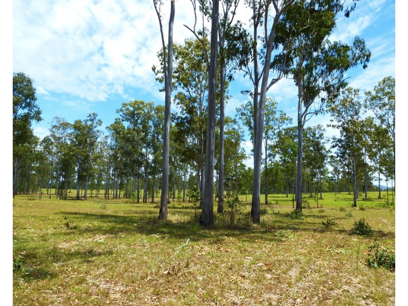 1272 Fingerboard Road, Mount Tom QLD 4677