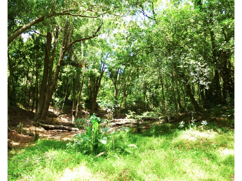 1272 Fingerboard Road, Mount Tom QLD 4677