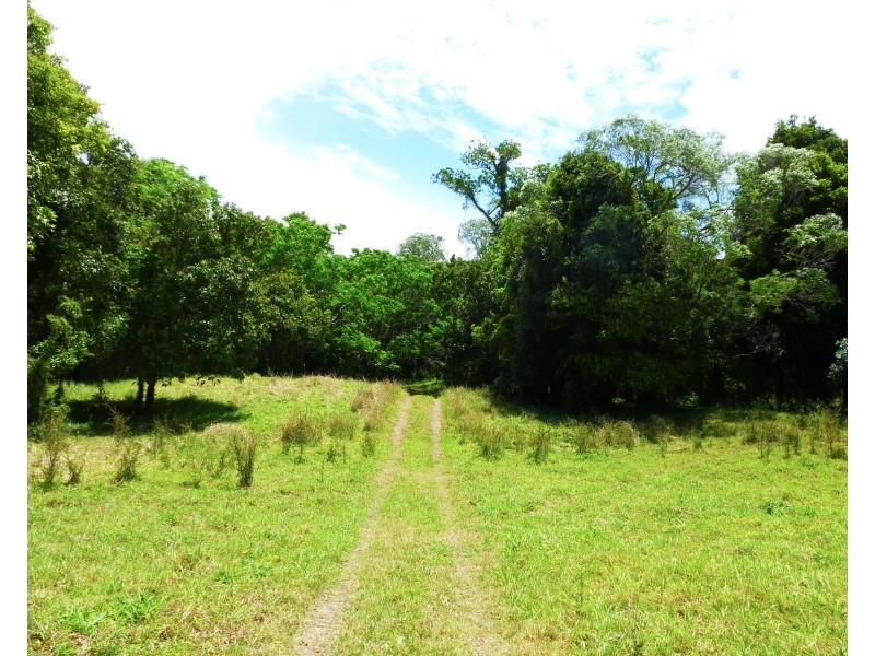 1272 Fingerboard Road, Mount Tom QLD 4677