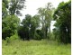 1272 Fingerboard Road, Mount Tom QLD 4677