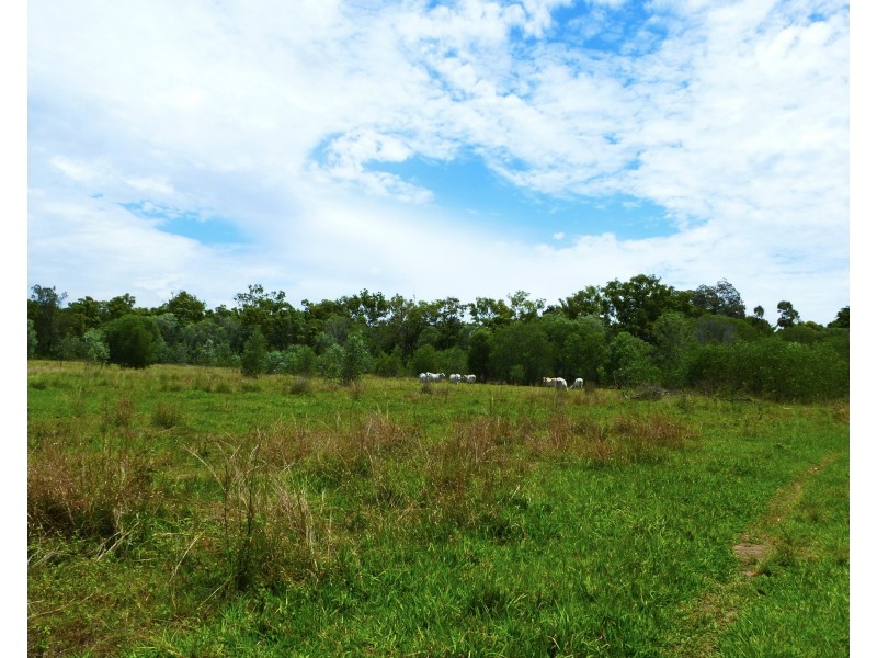 1272 Fingerboard Road, Mount Tom QLD 4677