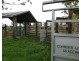 1272 Fingerboard Road, Mount Tom QLD 4677
