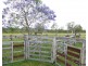 1272 Fingerboard Road, Mount Tom QLD 4677