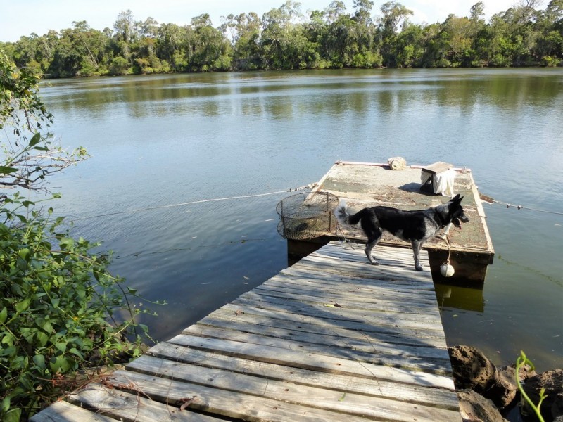 426 / Lot 9 Coast Road, Baffle Creek QLD 4674