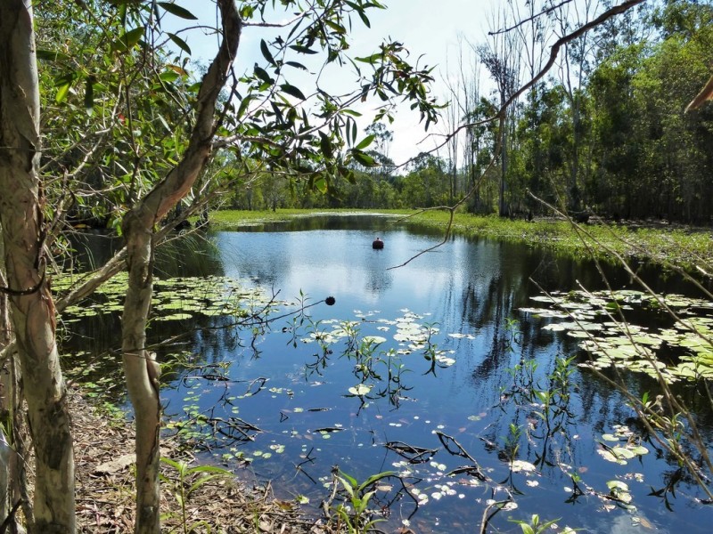 426 / Lot 9 Coast Road, Baffle Creek QLD 4674